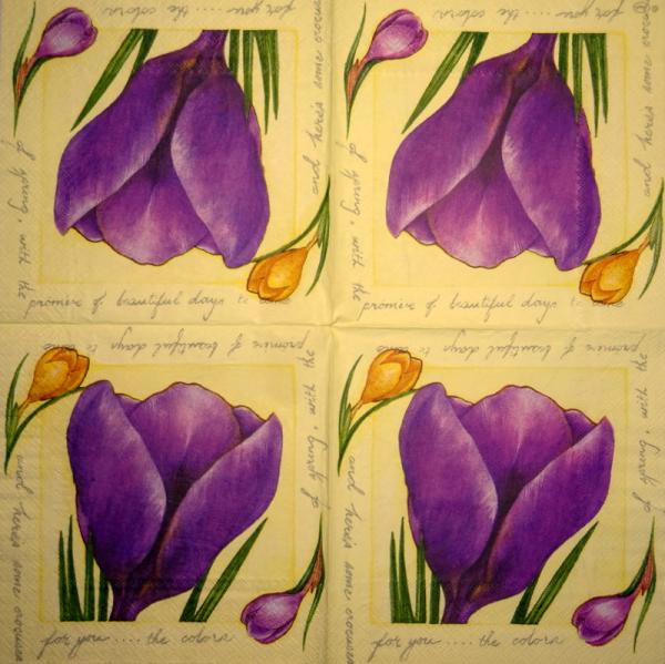 170 Daffodils - 3 ply -